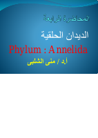 م4 (1).pdf